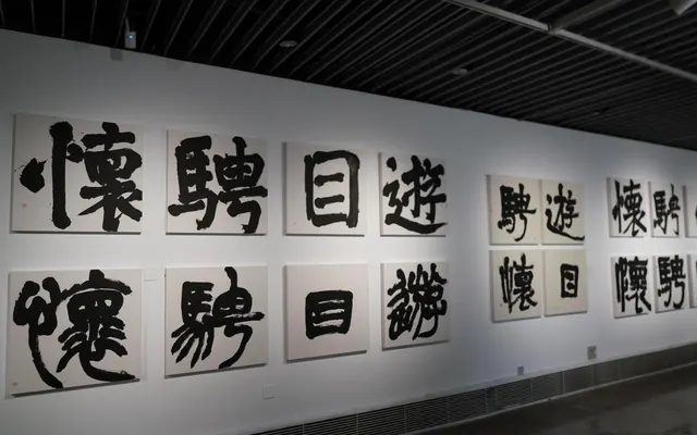 “金石墨韵——林如书法展”今日在浙江美术馆开幕