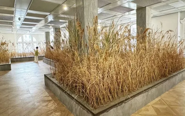 久事美术馆迁址焕新，首展探讨生态议题