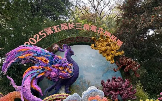 第五届长三角菊花精品展暨杭州市第11届菊花艺术展这几天正在植物园举行。观花者是人山人海,今天还是工作日,据说双休日是人挤人。花是真当好看,人是真当太多! http://t.cn/A6Bk94o2 
